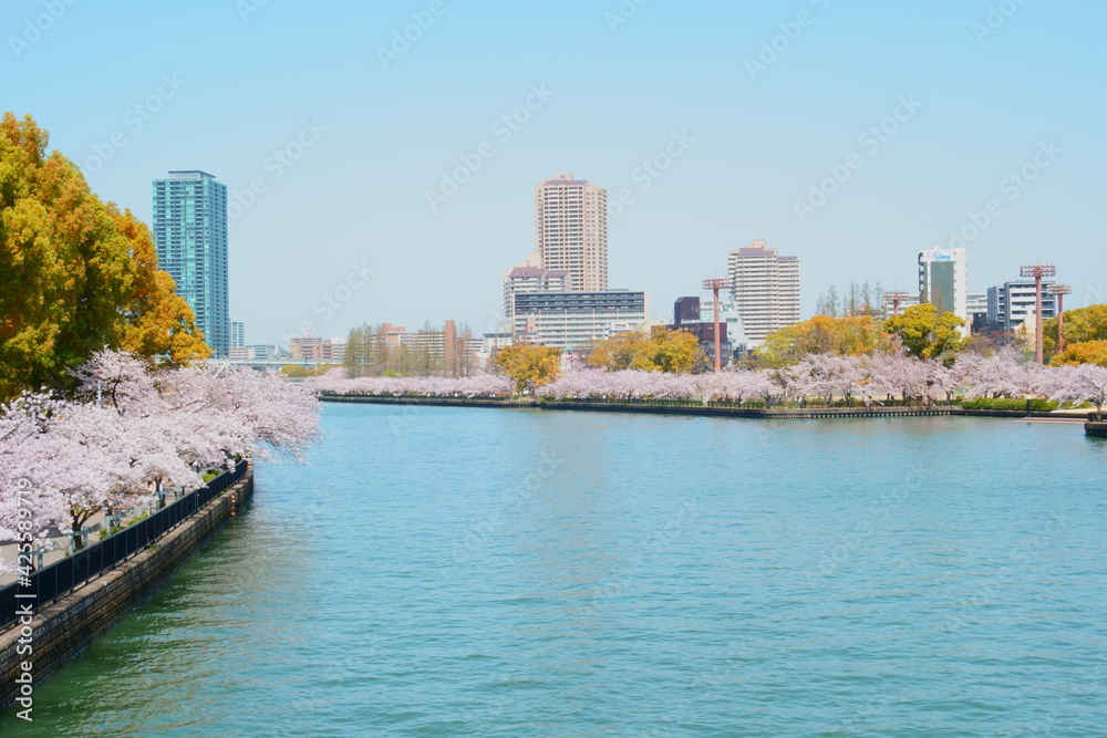 大川の風景（春）