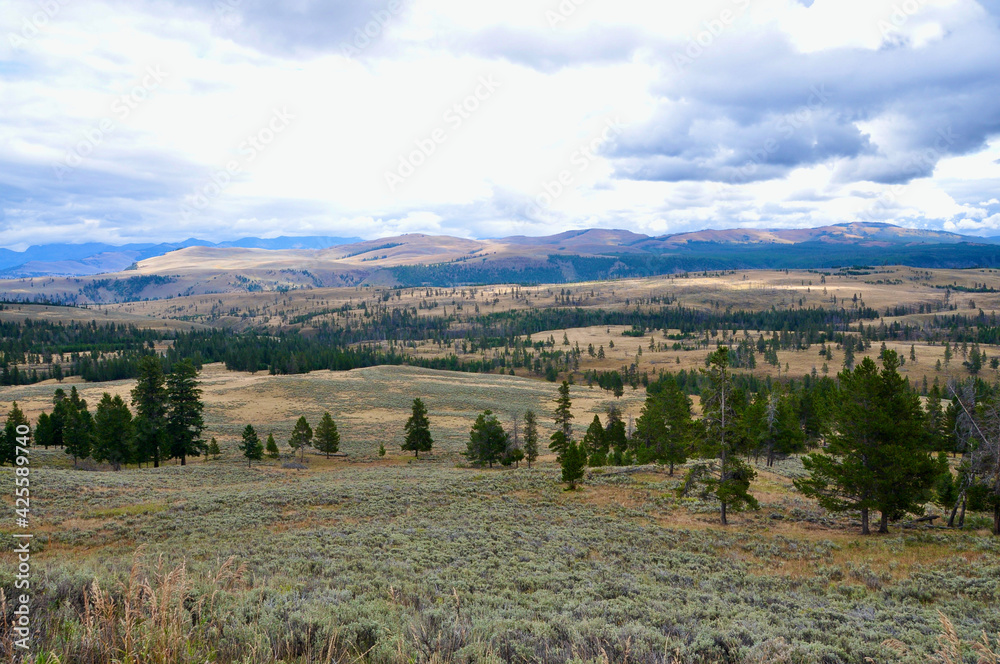 Yellowstone NP Yellowstone NP