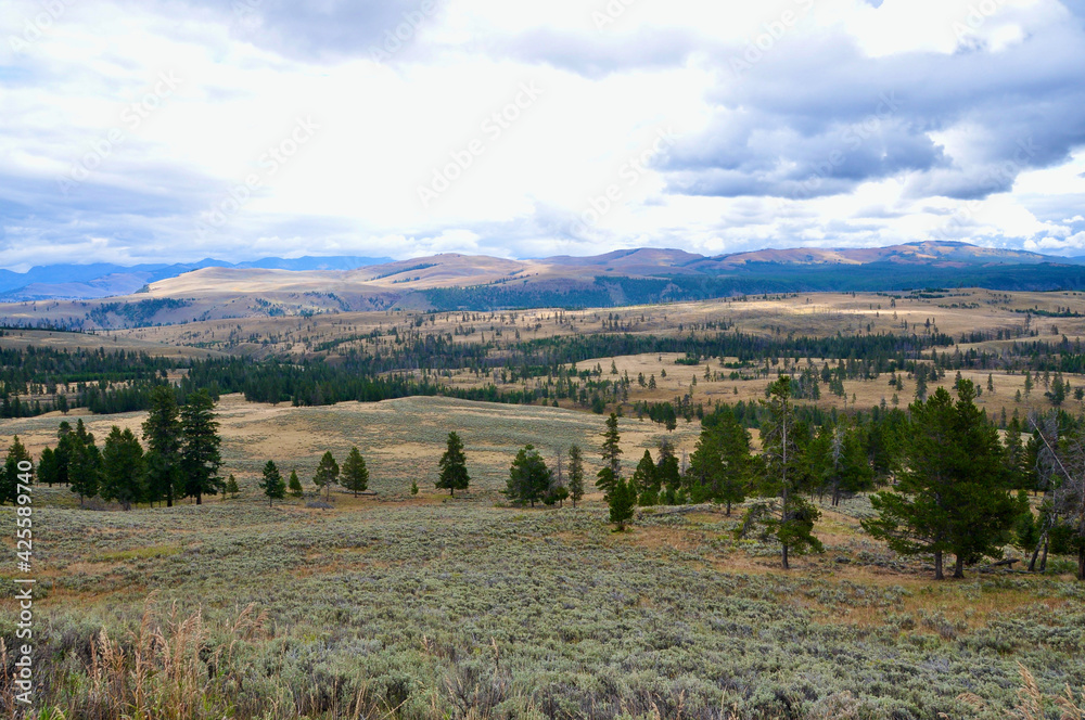 Yellowstone NP