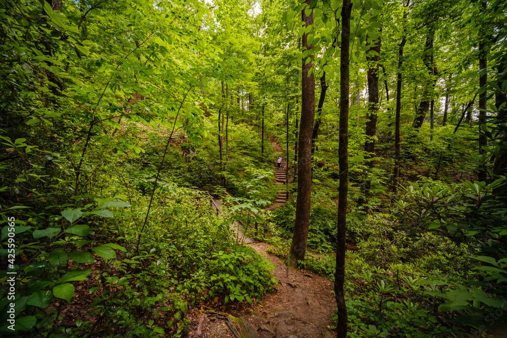 Obraz premium Chimney Rock Trail. North Carolina