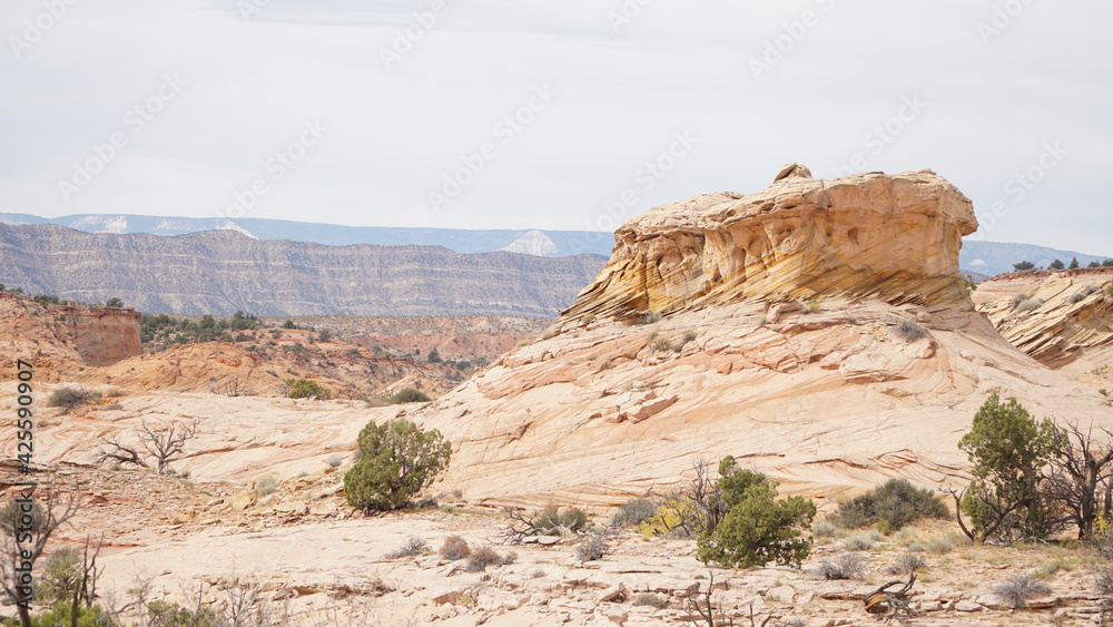Fototapeta premium Zebra, Peek-A-Boo and Spooky Slot Canyons exploration in dry arid landscapes near Escalante Town, Utah, USA.