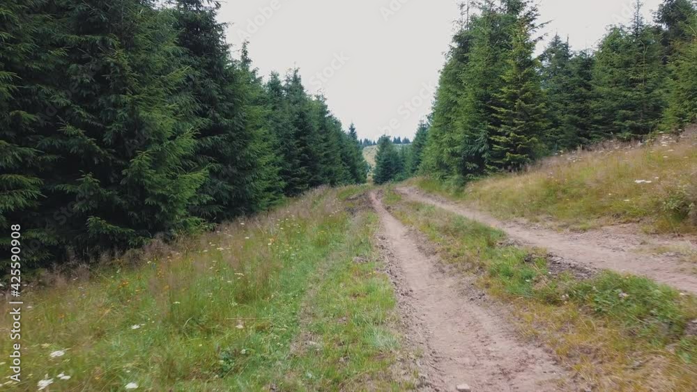 Aerial mountain expedition. Mud natural trail in wet mountain forest at autumn. Aerial mountain expedition. Mud natural trail in wet mountain forest at autumn.