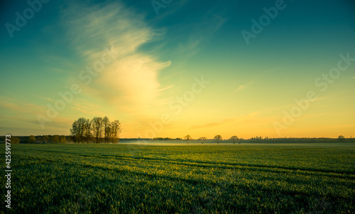 Beautiful clouds over the springtime scenery during the sunrise. Dramatic, colorful look. Rural landscape of Northern Europe.