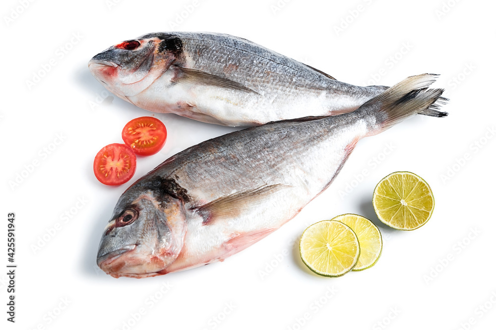 Fresh dorado isolated on white background Fresh dorado isolated on white background