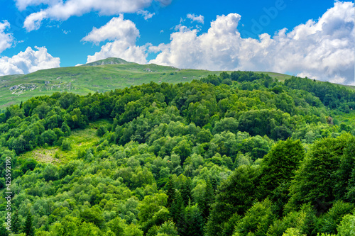 Mountain ridge covered with forest under blue sky. Picturesque scenery of mountain slopes and peaks covered with green lush foliage under blue sky in sunny summer day.