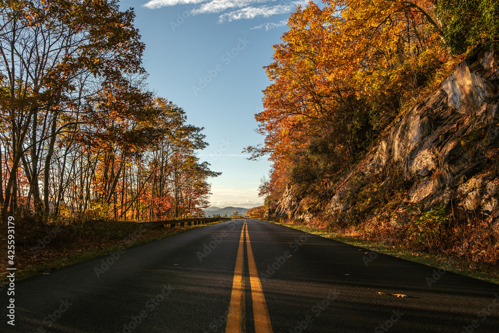 Naklejka premium Blue Ridge Parkway in the Fall.