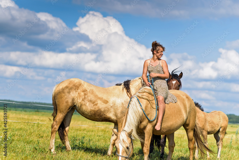 The girl is sitting on a horse. Photographed in a meadow in summer.