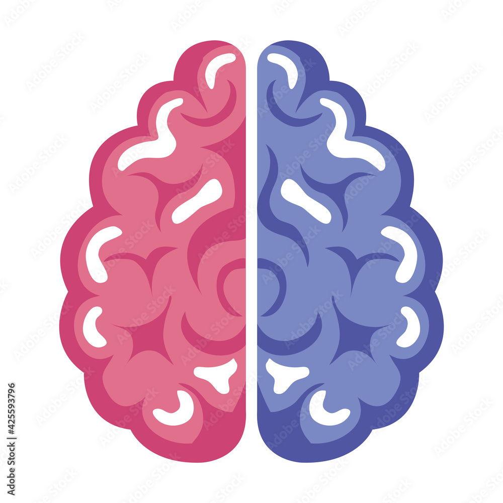 brain purple pink brain purple pink