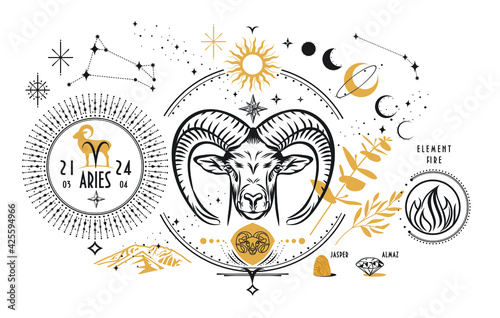 The astrological sign of the zodiac is Aries. Realistic hand drawing of a ram's head or moufflon on a light background. Zodiac characteristic, stones, element.