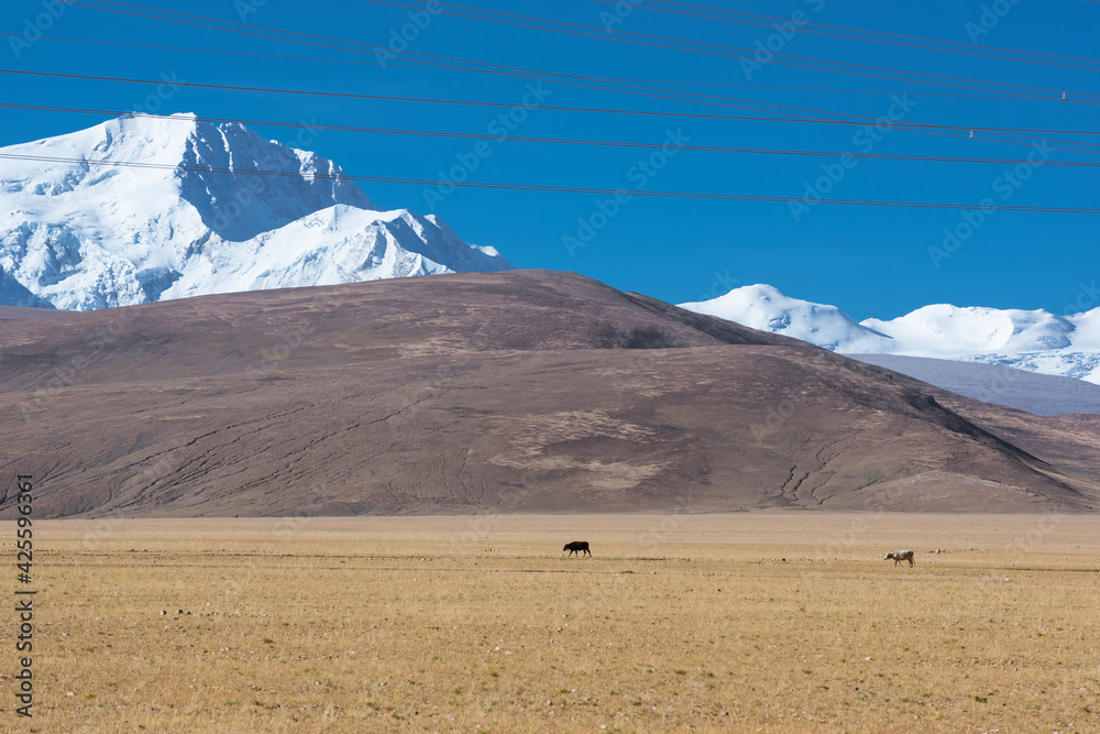 Tibet electric power scenery through Highland Landscape.