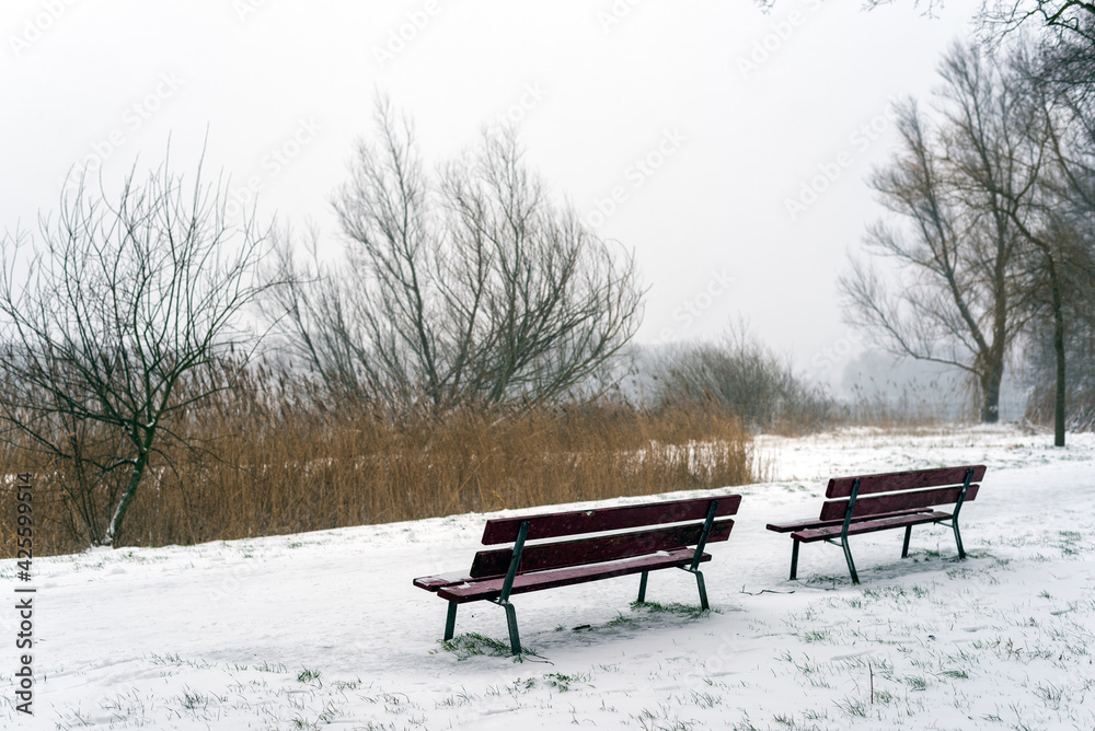 View of the benches in the park covered with snow. Amsterdam, Netherlands.