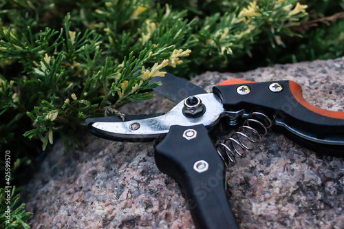 Pruning shears, also called hand pruners, or secateurs lie on a stone in the garden. landscape design concept