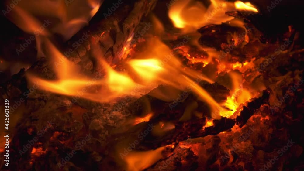 Golden burning Embers from a warm campfire - Close up shot Golden burning Embers from a warm campfire - Close up shot