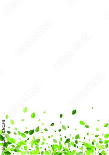 Swamp Greens Tree Vector Banner. Realistic Foliage Plant. Green Leaf Nature Branch. Leaves Wind Wallpaper.