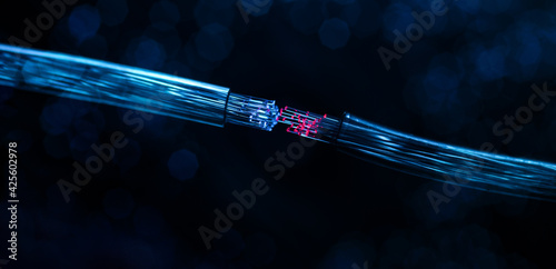 fiber optic internet connection photo