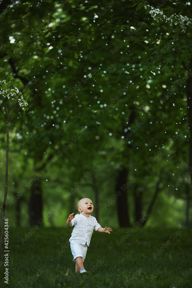 Adorable toddler boy walking by the green grass under the blossom tree at the city park Adorable toddler boy walking by the green grass under the blossom tree at the city park