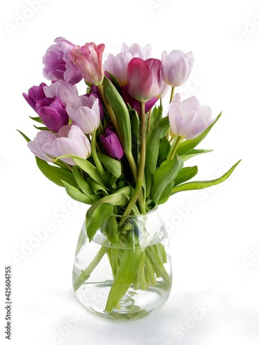 Wallpaper Mural beautiful  various multicolor tulips as spring flowers Torontodigital.ca