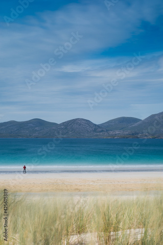 Person standing on beach overlooking the water with blowing reeds in foreground. Luskentyre Beach, Scotland