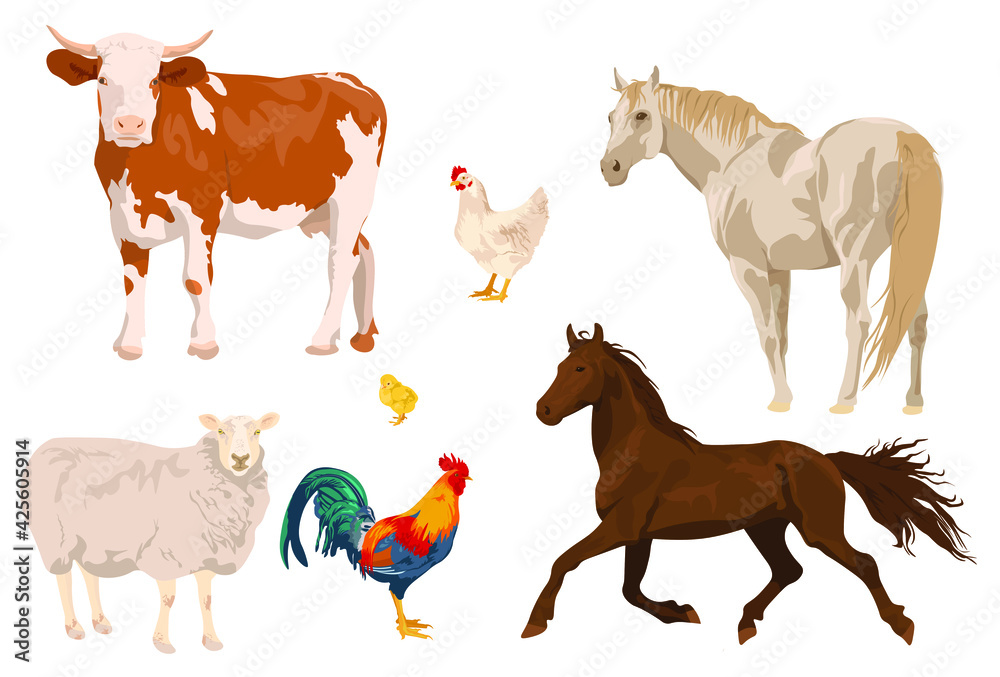 Farm animals set in flat style isolated on white background. realistic animals. Vector illustration. Cute cartoon animals collection: sheep, cow, horse, chick, chicken, rooster Farm animals set in flat style isolated on white background. realistic animals. Vector illustration. Cute cartoon animals collection: sheep, cow, horse, chick, chicken, rooster