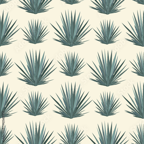 Vector seamless pattern with blue agave. Tequila agave succulent plant background, wallpaper