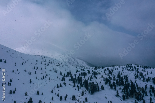 Russia, Ural Mountains, Dyatlov Pass place, winter, snow.  photo