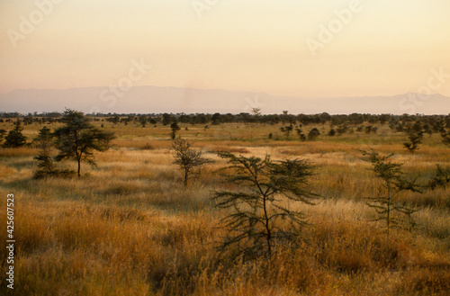 Coucher de soleil, Parc national, Lac Manyara, Tanzanie