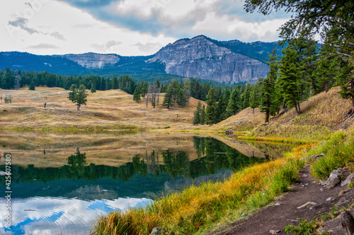 Reflections on Trout Lake at Yellowstone National Park