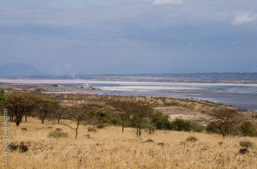 Lac Magadi , vallée du Rift Lac Magadi , Kenya