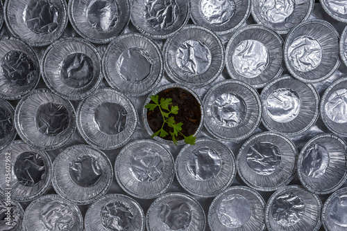 A Small Plant In The Center Of The Picture As A Symbol Of Loneliness In A Row Of A Large Number Of Aluminum Muffin Molds  Which Are Laid Out In Rows In A Continuous Background.  A View From Above.