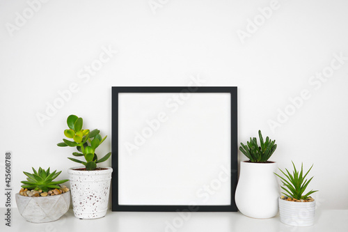 Mock up black square frame with succulent plants. White shelf against a white wall. Copy space.