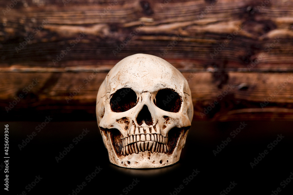 Skull on a background of textured wood on a black background. Skull on a background of textured wood on a black background.