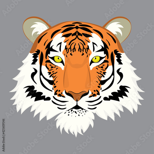 Red tiger portrait