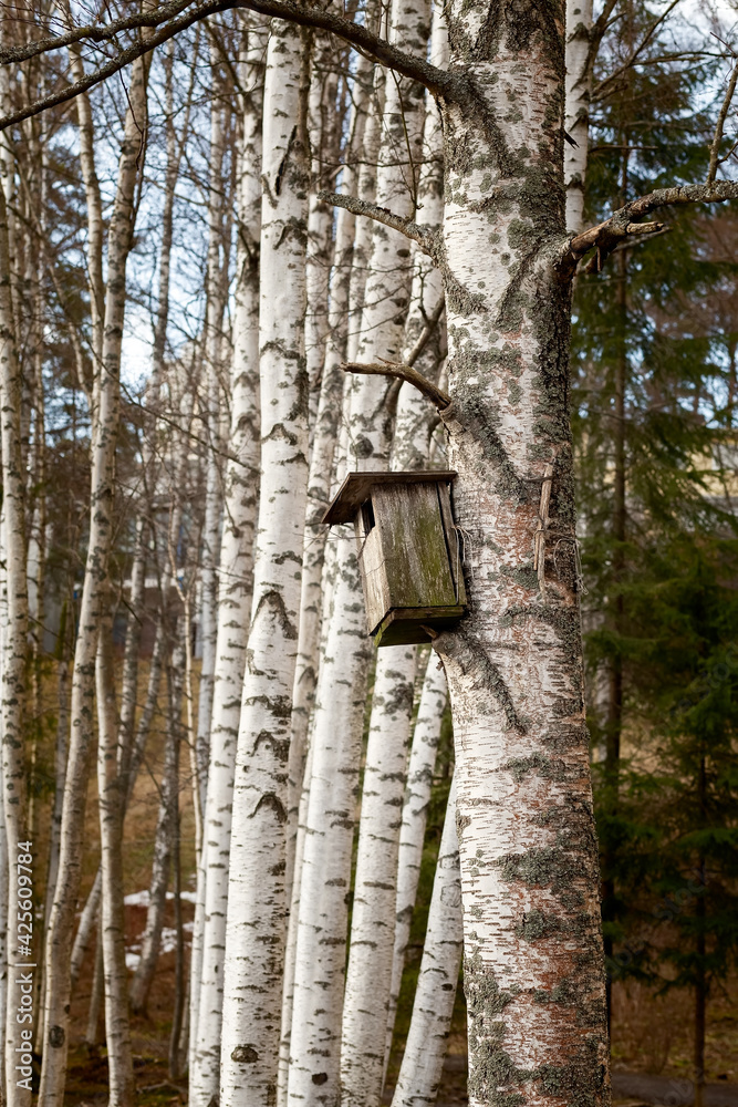 The birdhouse hangs on a tree trunk. House for birds. Protection of Nature. Protect birds. Close-up. High quality photo