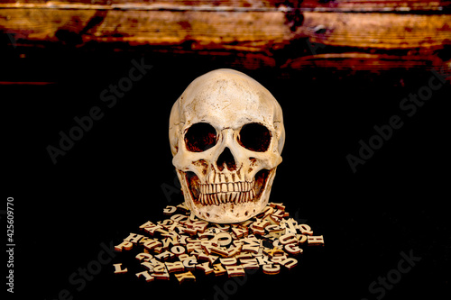 The skull lies on a pile of wooden letters.