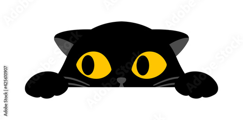 Black cute cat is peeking on white background
