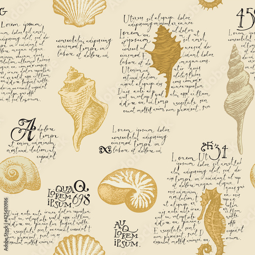 Seamless pattern with hand-drawn seashells and handwritten text Lorem ipsum. Vector illustration in beige colors in retro style. Pencil drawings of shells and seahorse on an old paper background