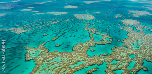 Fototapeta Naklejka Na Ścianę i Meble -  Great barrier reef from the sky in Australia