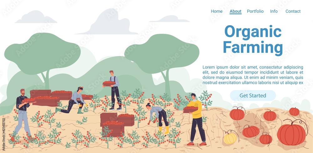 Obraz premium Vector cartoon flat farmer characters harvesting,people workers harvest vegetables in autumn season-natural,organic farming,agriculture concept for web online landing page template,site design