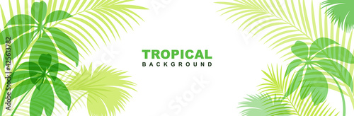 Tropical horizontal banner with exotic green leaves. Stylish fashion frame on a white background.  Vector illustration isolated and editable.