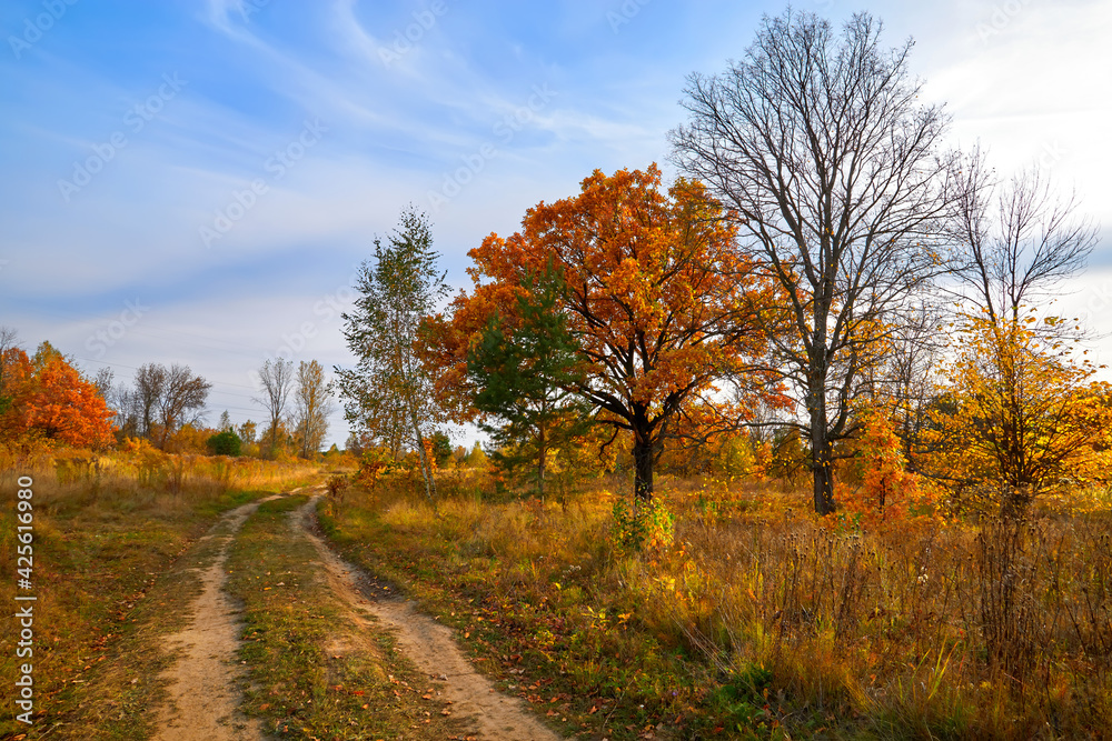 Autumn landscape. Beautiful sunny autumn day. Golden woods and blue sky.