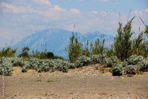 grass and sand on a background of mountains
