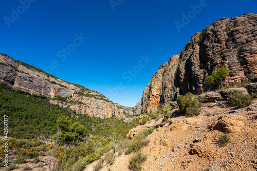 Gorge of Collegats in the Pyrenees. In the middle of spring. On a sunny day with no clouds in the sky and a completely blue sky.