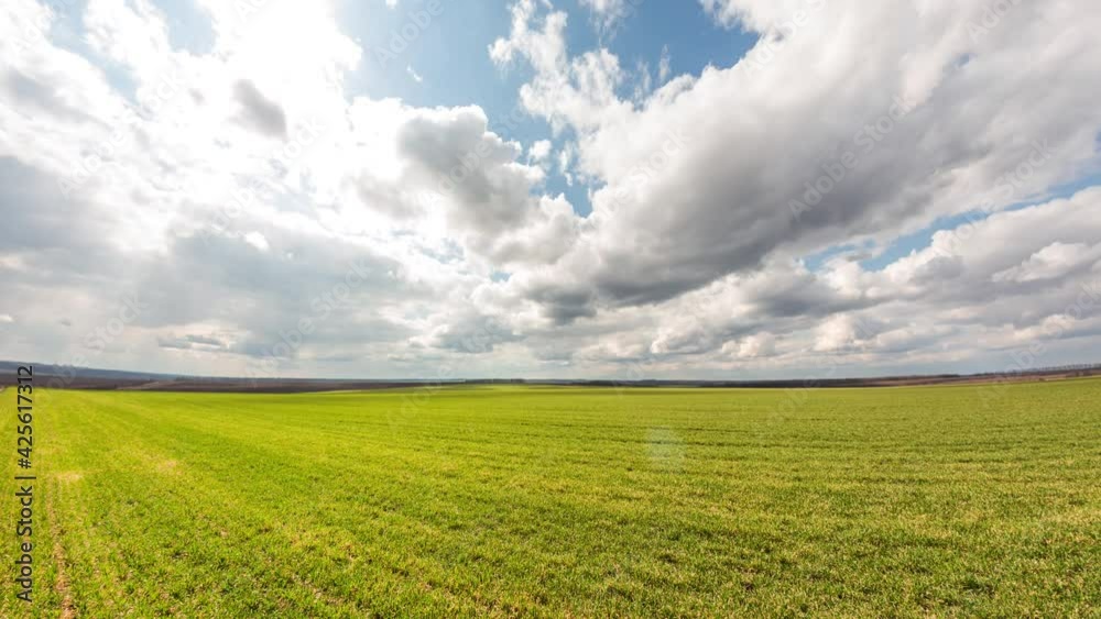 Winter wheat field in spring. Fast clouds over agricultural land Winter wheat field in spring. Fast clouds over agricultural land