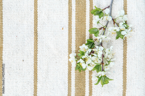 Spring blossom cherry branch on old rustic stripped vintage fabric background