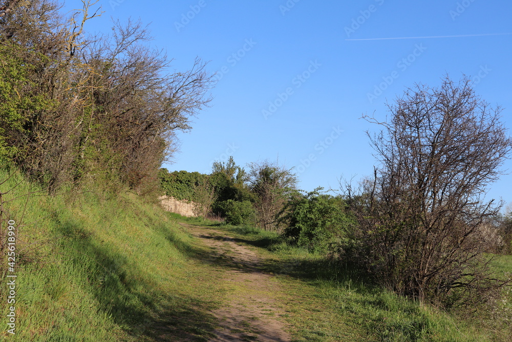 Sentier de promenade dans la campagne au milieu de la verdure au printemps, ville de Mions, département du Rhône, France