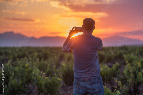 Atardecer en los viñedos en la Rioja. España