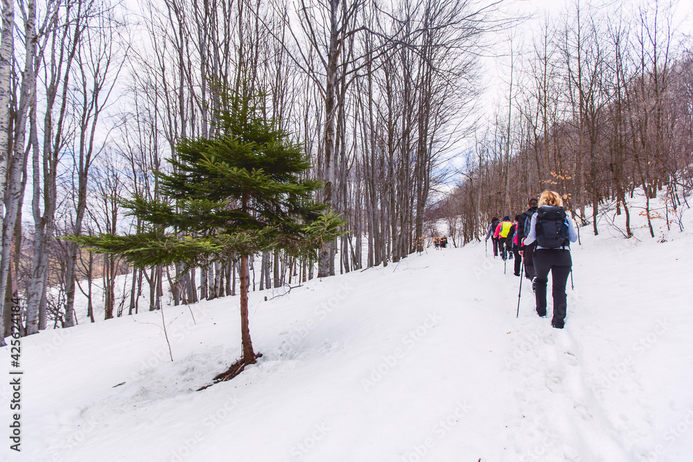 Group of hikers walking on the hike trail on snow winter day.