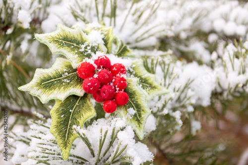 embroidered branch of holly in the snow