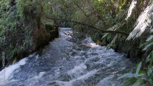 The Kaituna river in Rotorua, Bay of Plenty is a popular river used for kayaking and commercial rafting. photo