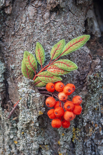 embroidered brooch - rowan branch with berries